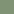 Dark Leaf Green